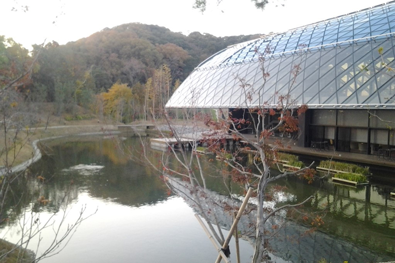 研究開発棟新築工事に伴う造成事業